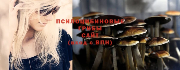 молекула духа Медногорск