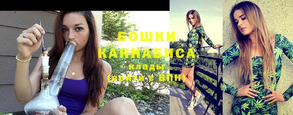 молекула духа Медногорск