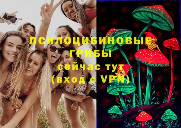 молекула духа Медногорск