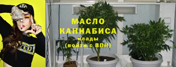 молекула духа Медногорск