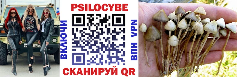 KRAKEN зеркало  даркнет сайт  Тула  Псилоцибиновые грибы Magic Shrooms 