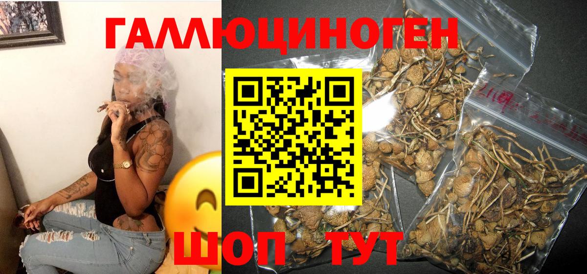 Псилоцибиновые грибы мухоморы Тула